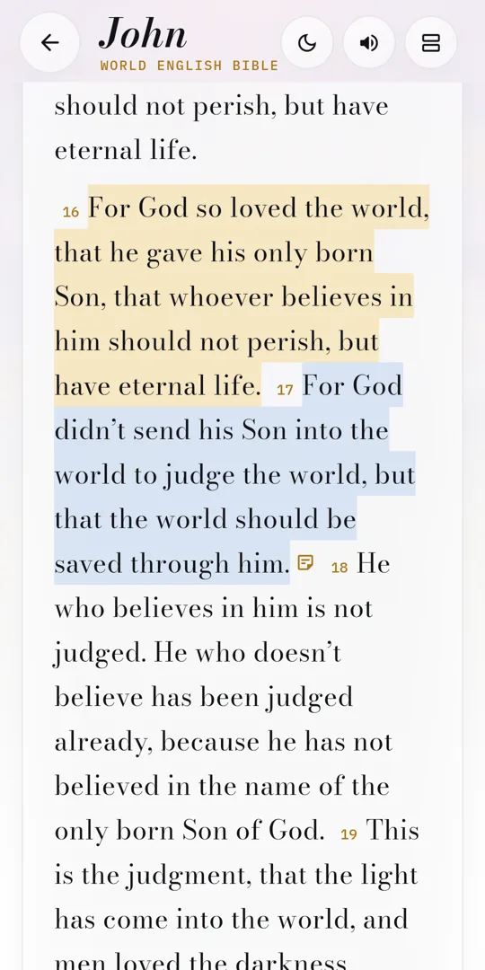 The Bible reader